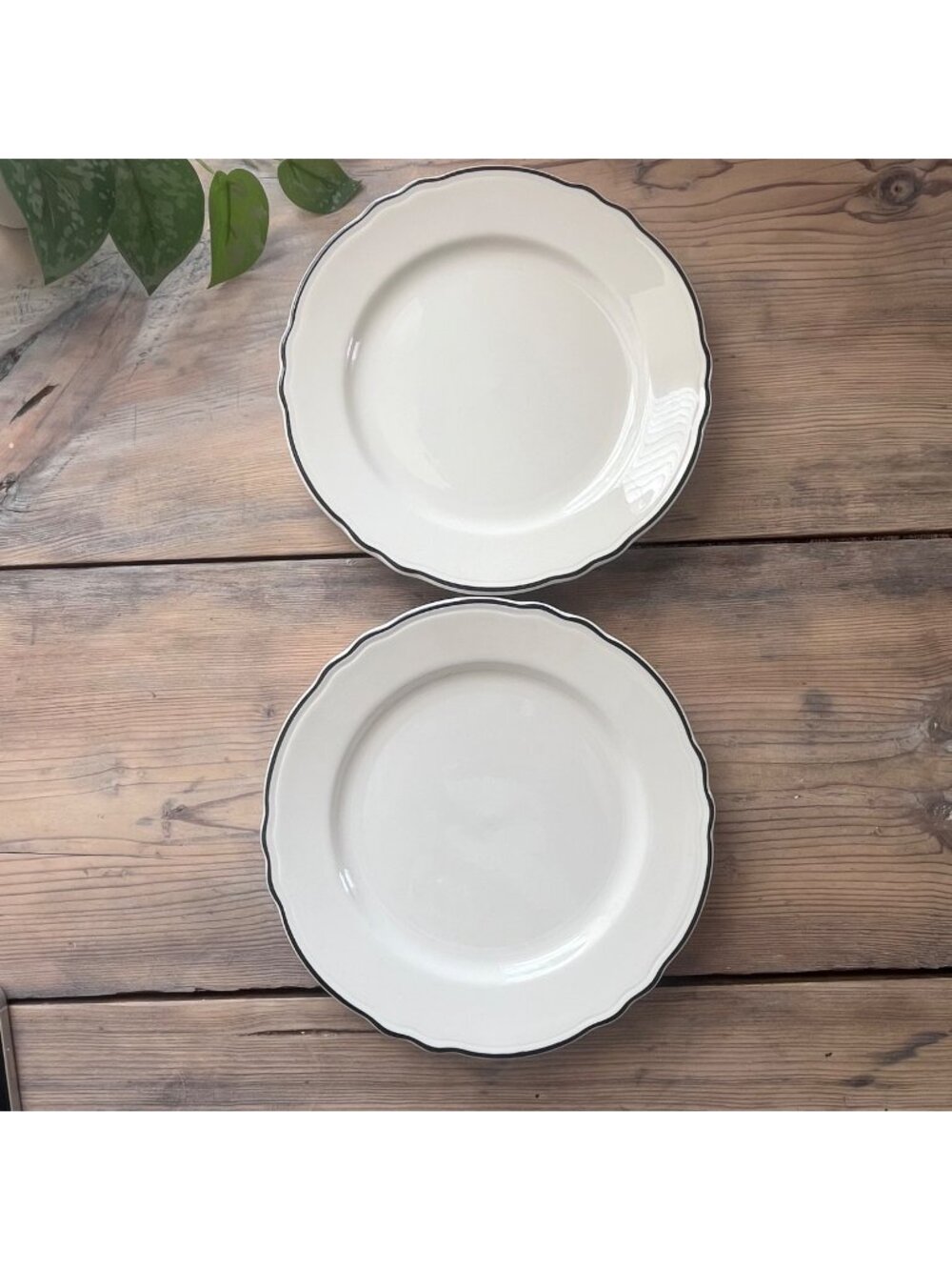 Homer Laughlin Styleline Dinner Plates Scalloped Edge White with Black Trim